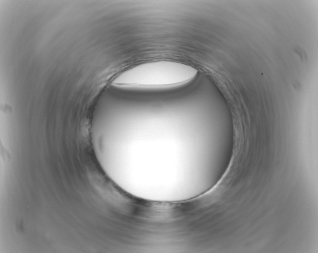 X0000091330144200708101008