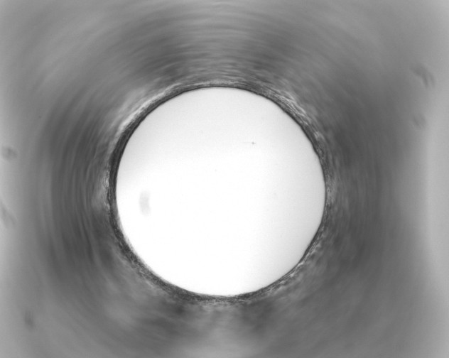 X0000091330146200708101008