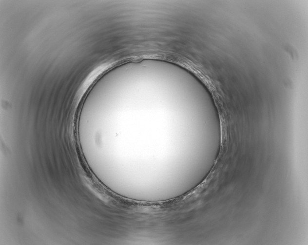 X0000091330147200708101008