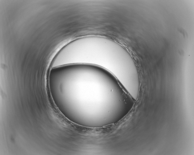 X0000091330148200708101008