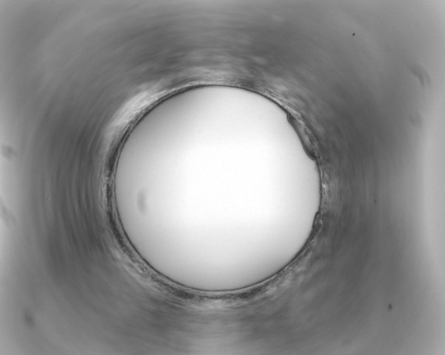 X0000091330149200708101008
