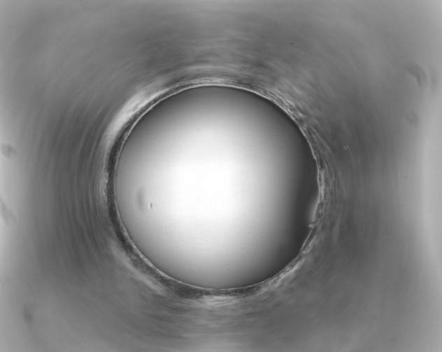 X0000091330150200708101008
