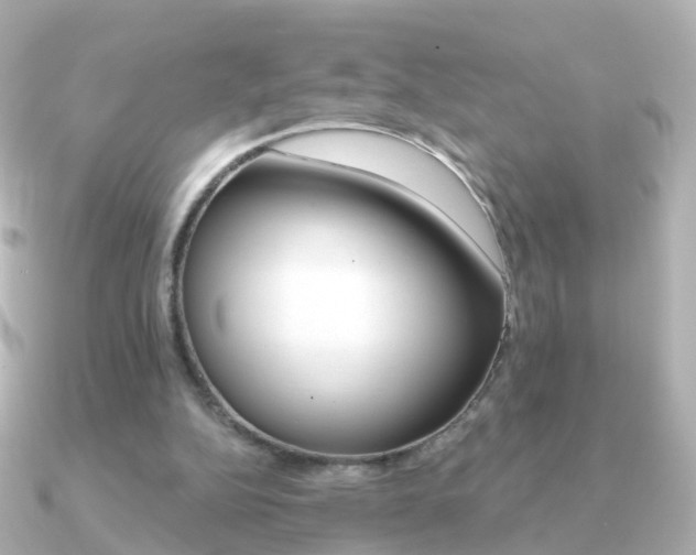X0000091330152200708101008