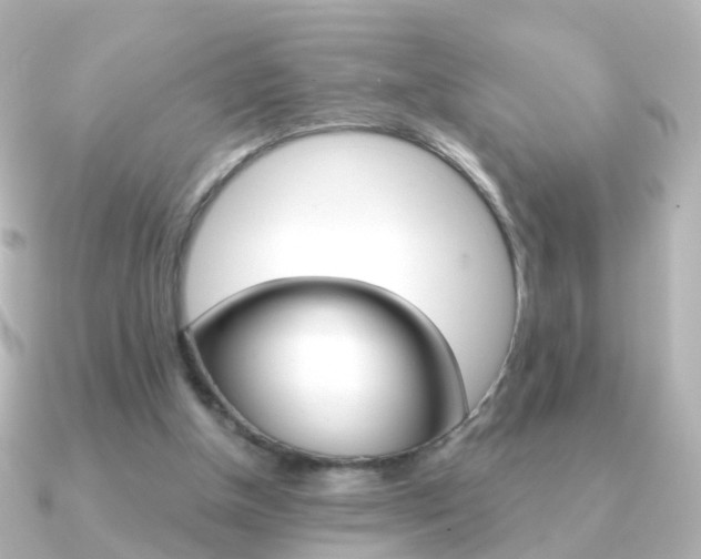 X0000091330154200708101008