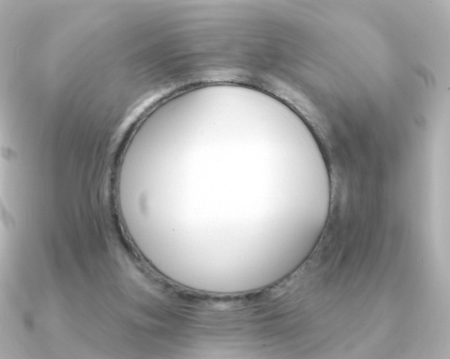 X0000091330155200708101008