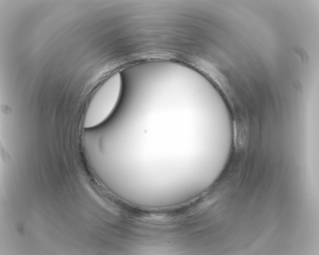 X0000091330157200708101008