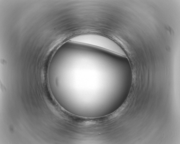 X0000091330158200708101008
