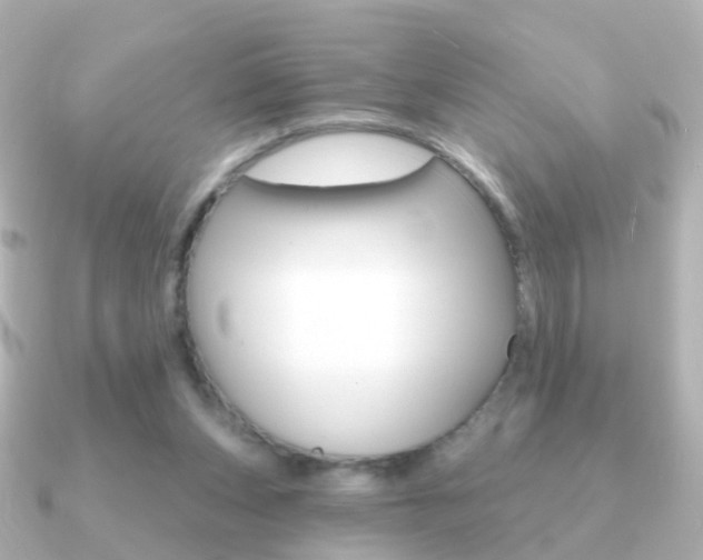 X0000091330159200708101008