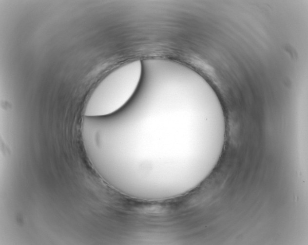 X0000091330161200708101008