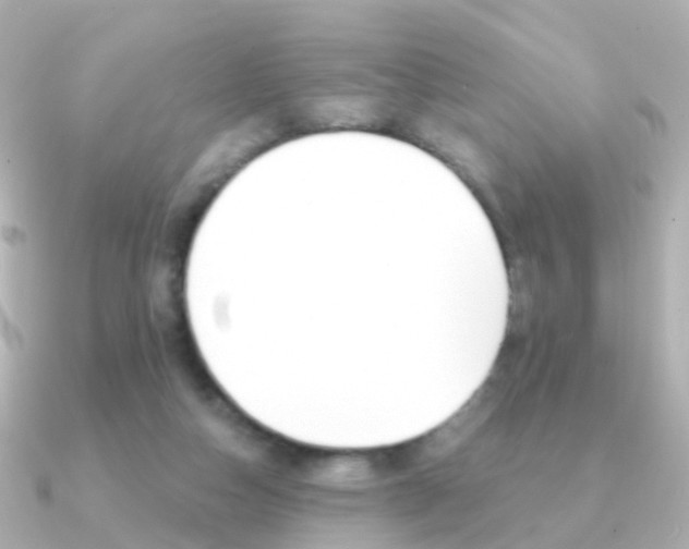 X0000091330162200708101008
