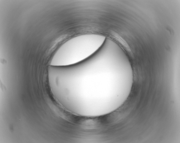 X0000091330163200708101008