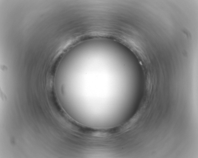 X0000091330168200708101008