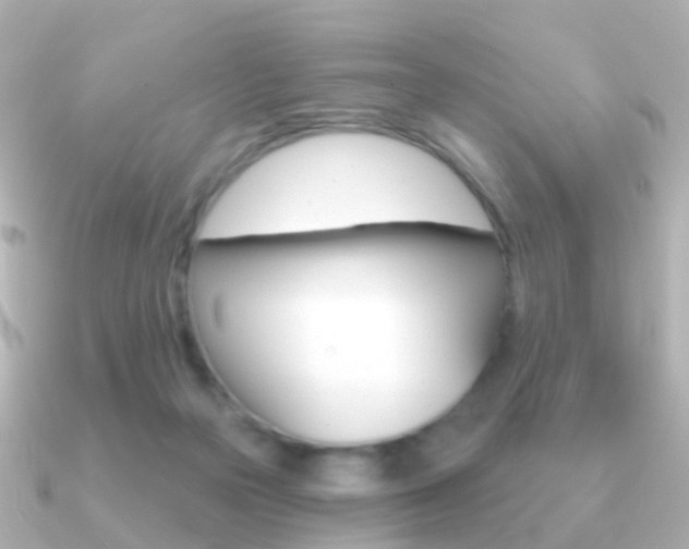 X0000091330169200708101008