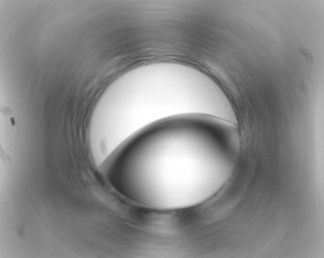 X0000091330170200708101008
