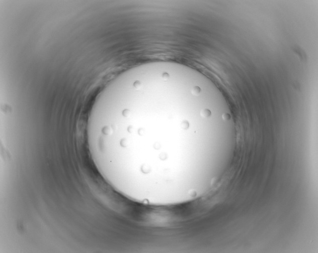 X0000091330171200708101008