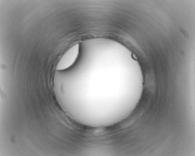 X0000091330173200708101008
