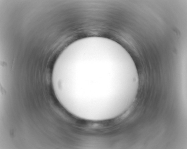 X0000091330174200708101008
