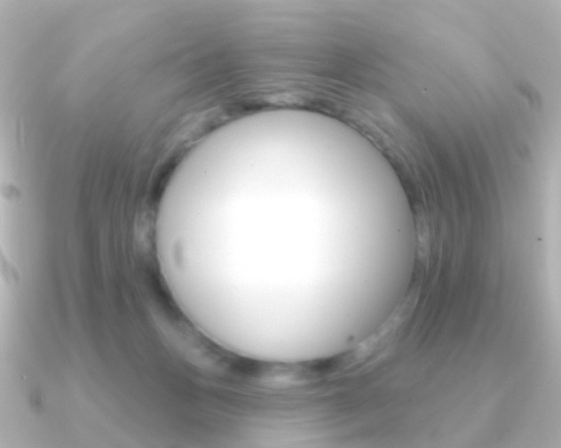 X0000091330175200708101008