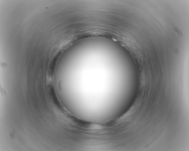 X0000091330176200708101008