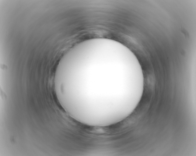 X0000091330177200708101008