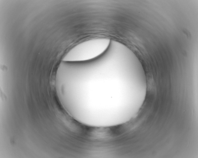 X0000091330179200708101008
