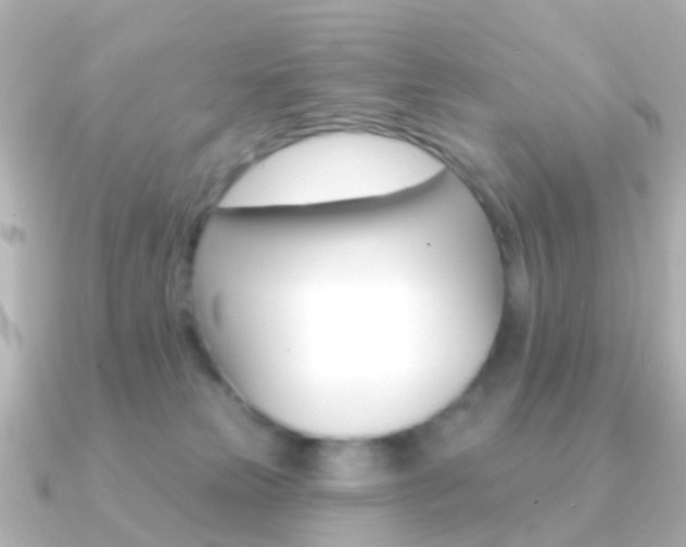 X0000091330181200708101008