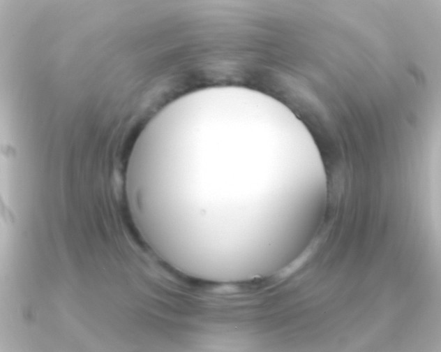 X0000091330183200708101008