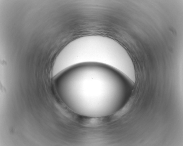 X0000091330184200708101008