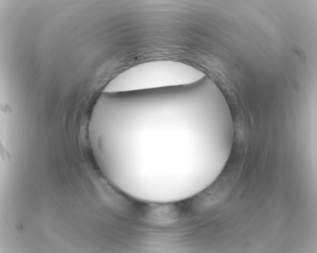 X0000091330185200708101008