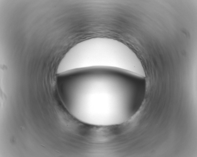 X0000091330186200708101008