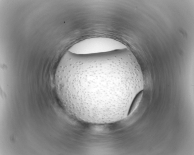 X0000091330187200708101008