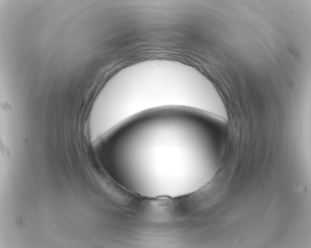 X0000091330188200708101008