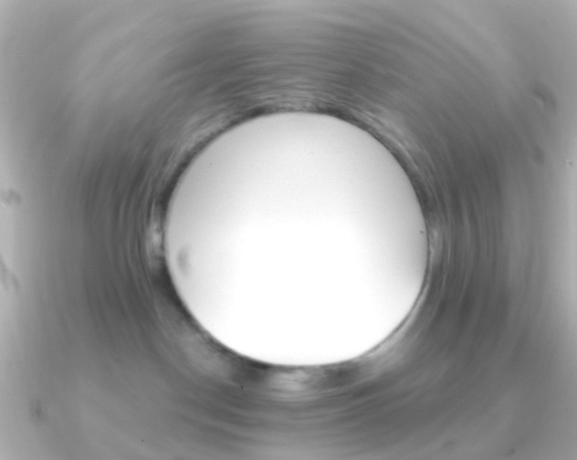X0000091330190200708101008