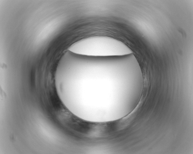 X0000091330191200708101008