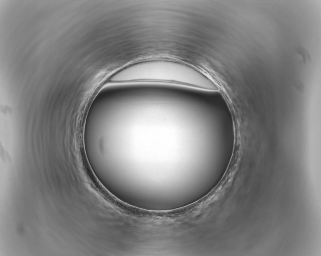 X0000091330193200708101007