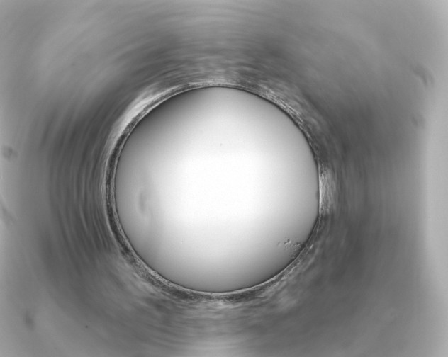 X0000091330195200708101007