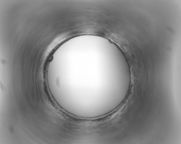 X0000091330198200708101007