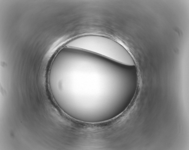 X0000091330199200708101007