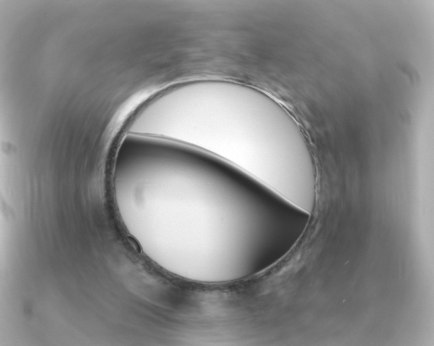 X0000091330200200708101007