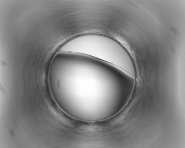 X0000091330201200708101007