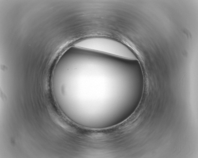 X0000091330203200708101007