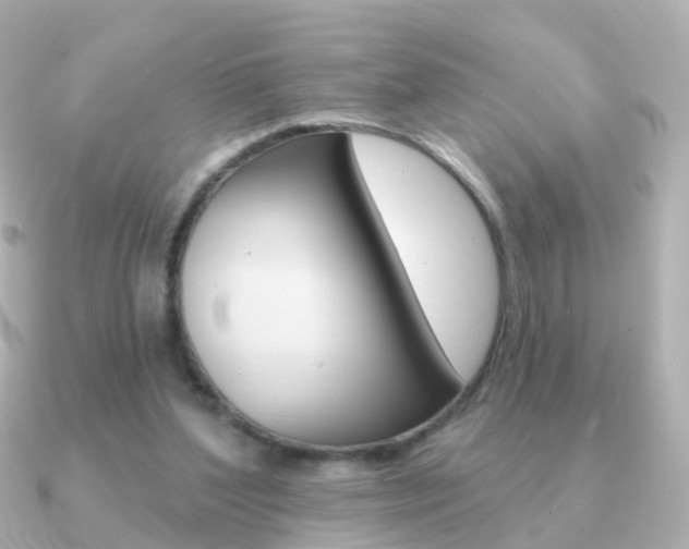 X0000091330204200708101007