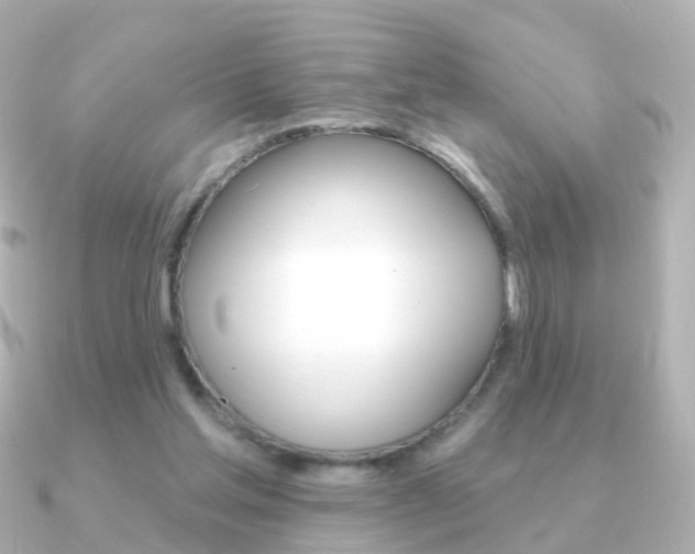 X0000091330205200708101007