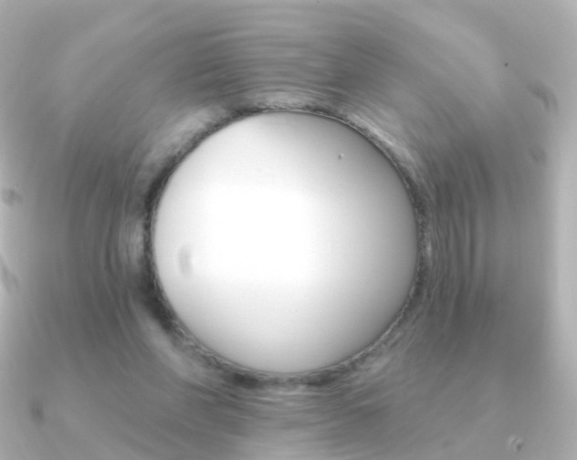 X0000091330206200708101007