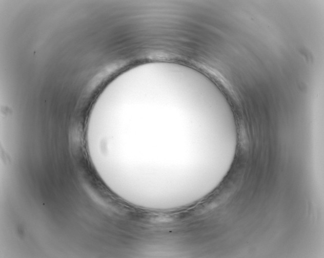 X0000091330208200708101007