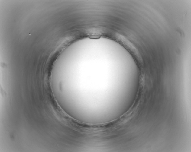 X0000091330209200708101007