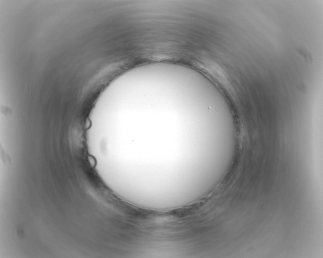 X0000091330210200708101007