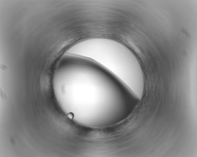 X0000091330211200708101007