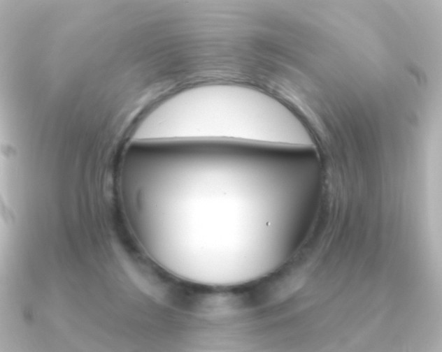 X0000091330212200708101007