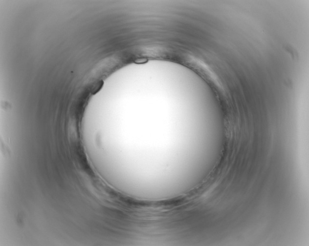 X0000091330213200708101007